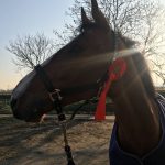 IMG-20180218-WA0052