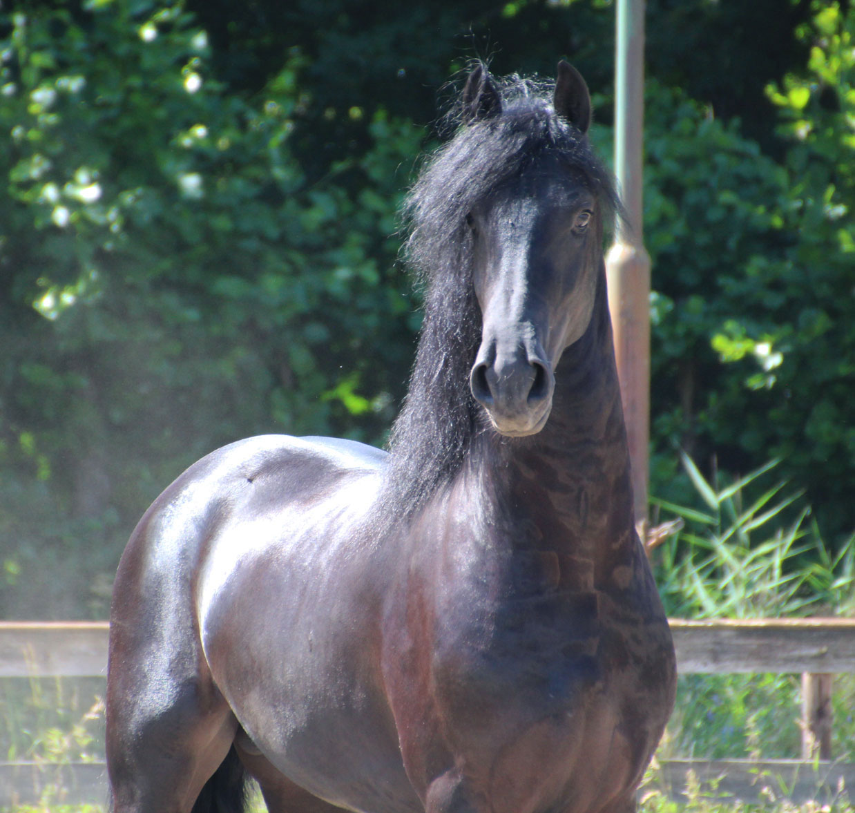 ferm_0066